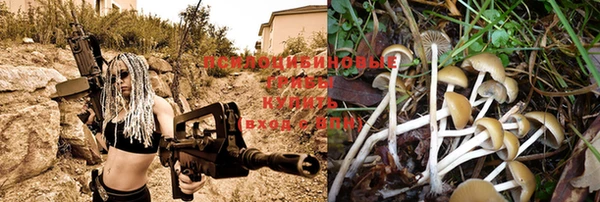 mdpv Абдулино