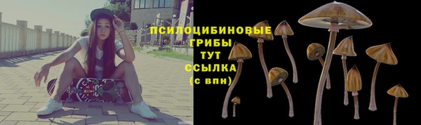 ГАЛЛЮЦИНОГЕННЫЕ ГРИБЫ Абинск