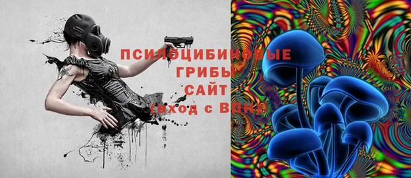 2c-b Абаза