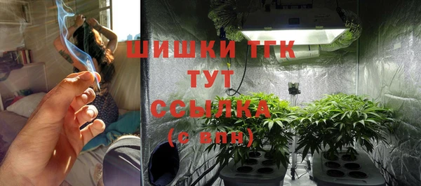 хмурый Арсеньев
