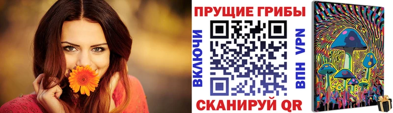 купить   Димитровград  Галлюциногенные грибы GOLDEN TEACHER 
